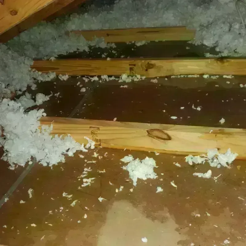 Attic Water Damage in Catawba County, NC